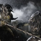 AVP: Requiem